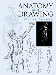 Anatomy And Drawing