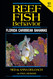 Reef Fish Behavior: Florida Caribbean Bahamas