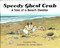 Speedy Ghost Crab A Tale of a Beach Dweller