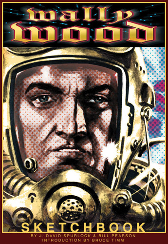 Wally Wood Sketchbook (Woodwork Wally Wood Classics)