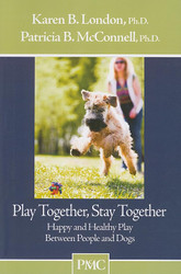 Play Together Stay Together: Happy and Healthy Play Between People