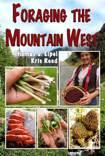 Foraging the Mountain West