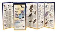 Birds of the New England Coast: Folding Guide (Foldingguides)