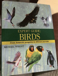 Expert Guide: Birds