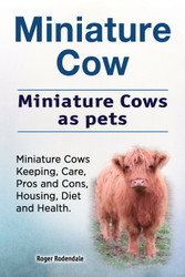 Miniature Cow. Miniature Cows as pets. Miniature Cows Keeping Care