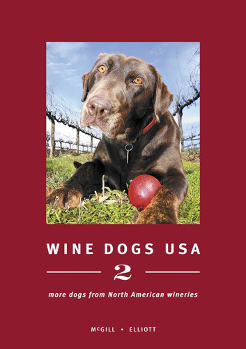 Wine Dogs USA 2