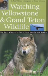 Watching Yellowstone And Grand Teton Wildlife: The Best Places to
