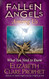Pocket - Fallen Angels Among Us: What You Need To Know