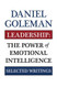 Leadership: The Power of Emotional Intellegence