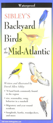 Sibley's Backyard Birds of the Mid-Atlantic & South-Central States