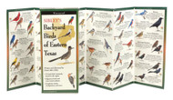 Sibley's Backyard Birds of Eastern Texas