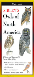 Sibley's Owls of North America (Foldingguides)