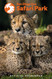 San Diego Zoo Safari Park Official Guidebook