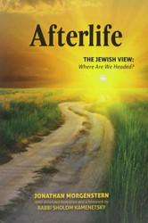 Afterlife: The Jewish View