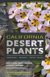 California Desert Plants