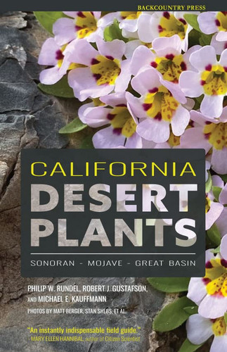 California Desert Plants