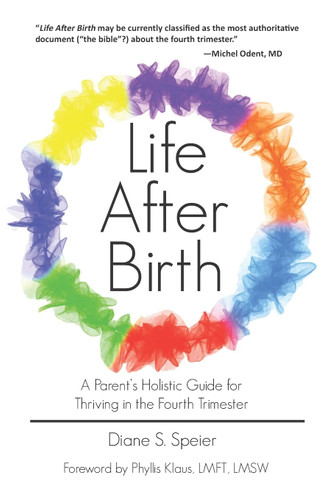 Life After Birth: A Parent's Holistic Guide for Thriving in the