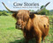 Cow Stories