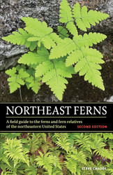 Northeast Ferns: A Field Guide to the Ferns and Fern Relatives of the