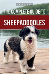 The Complete Guide to Sheepadoodles