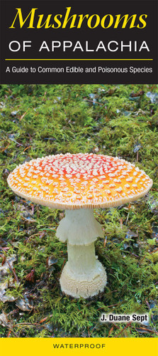 Mushrooms of Appalachia