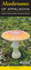 Mushrooms of Appalachia