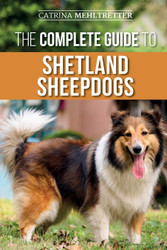 The Complete Guide to Shetland Sheepdogs