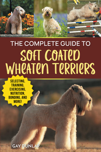 The Complete Guide to Soft Coated Wheaten Terriers