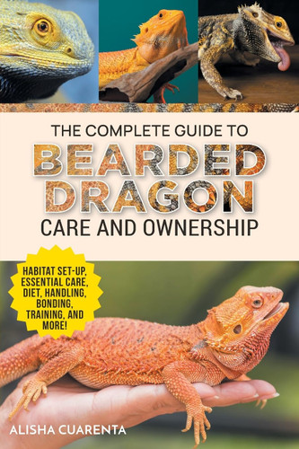 The Complete Guide to Bearded Dragon Care and Ownership