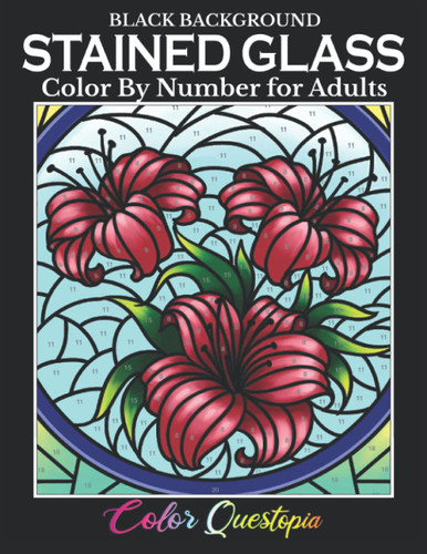 Stained Glass Color by Number For Adults BLACK BACKGROUND