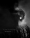 Debbie Fleming Caffery: In Light of Everything