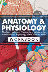 Anatomy & Physiology: The Best and Most Effective Way to Learn the
