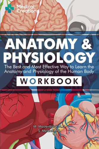 Anatomy & Physiology: The Best and Most Effective Way to Learn the