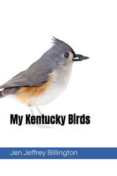 My Kentucky Birds