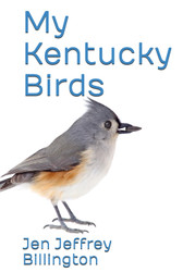My Kentucky Birds