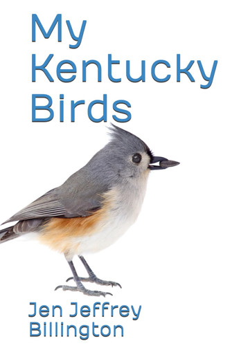My Kentucky Birds My Kentucky Birds
