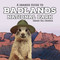 Badlands National Park: A Grande Guide for Kids