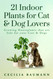21 Indoor Plants for Cat & Dog Lovers: Growing Houseplants that are