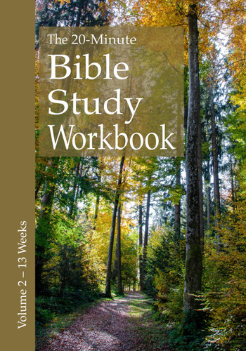 The 20-Minute Bible Study Workbook - Volume 2: Matthew 1 Samuel 1 & 2