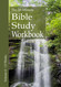 The 20-Minute Bible Study Workbook - Volume 4: Luke Acts 1 John 2