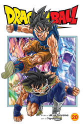 Dragon Ball Super Vol. 20 (20)