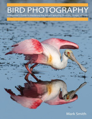 Bird Photography: A Beginner's Guide to Mastering the Art of