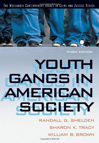 Youth Gangs In American Society