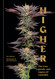 Higher: The Lore Legends and Legacy of Cannabis
