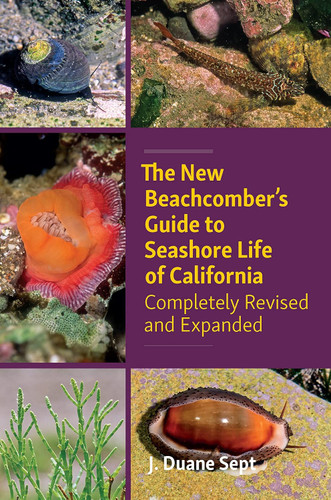 The New Beachcomber's Guide to Seashore Life of California: