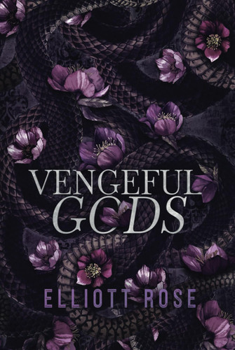 Vengeful Gods: A Why Choose Enemies To Lovers Romance