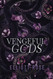 Vengeful Gods: A Why Choose Enemies To Lovers Romance