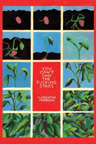 You Can't Own the Fucking Stars: Collected Writings on Trauma