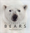Remembering Bears