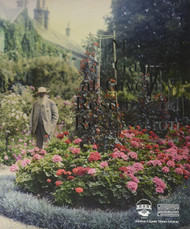Monet's garden at Giverny: Rescue and restoration